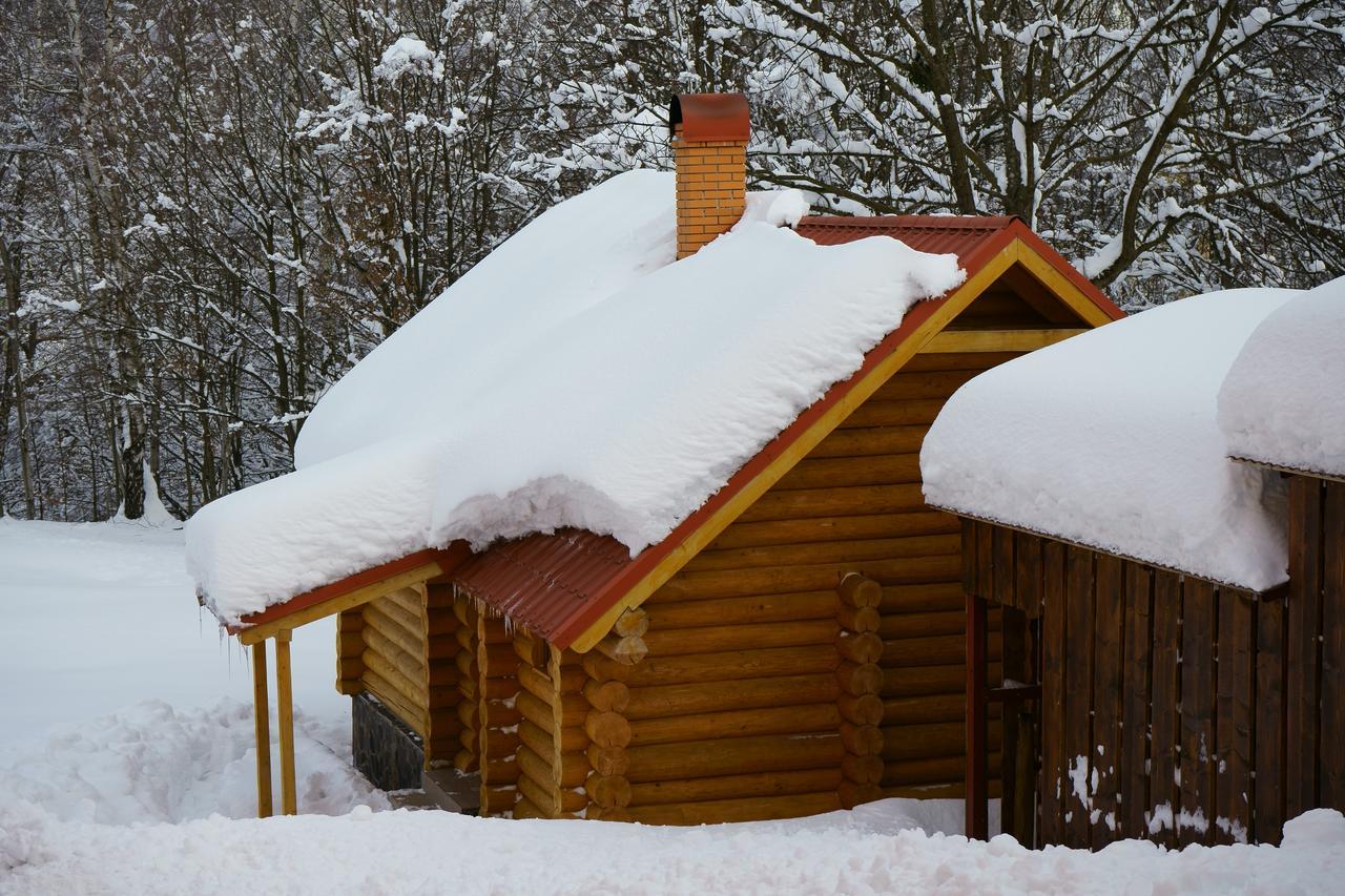 Пори Року Guest House Синяк Екстериор снимка